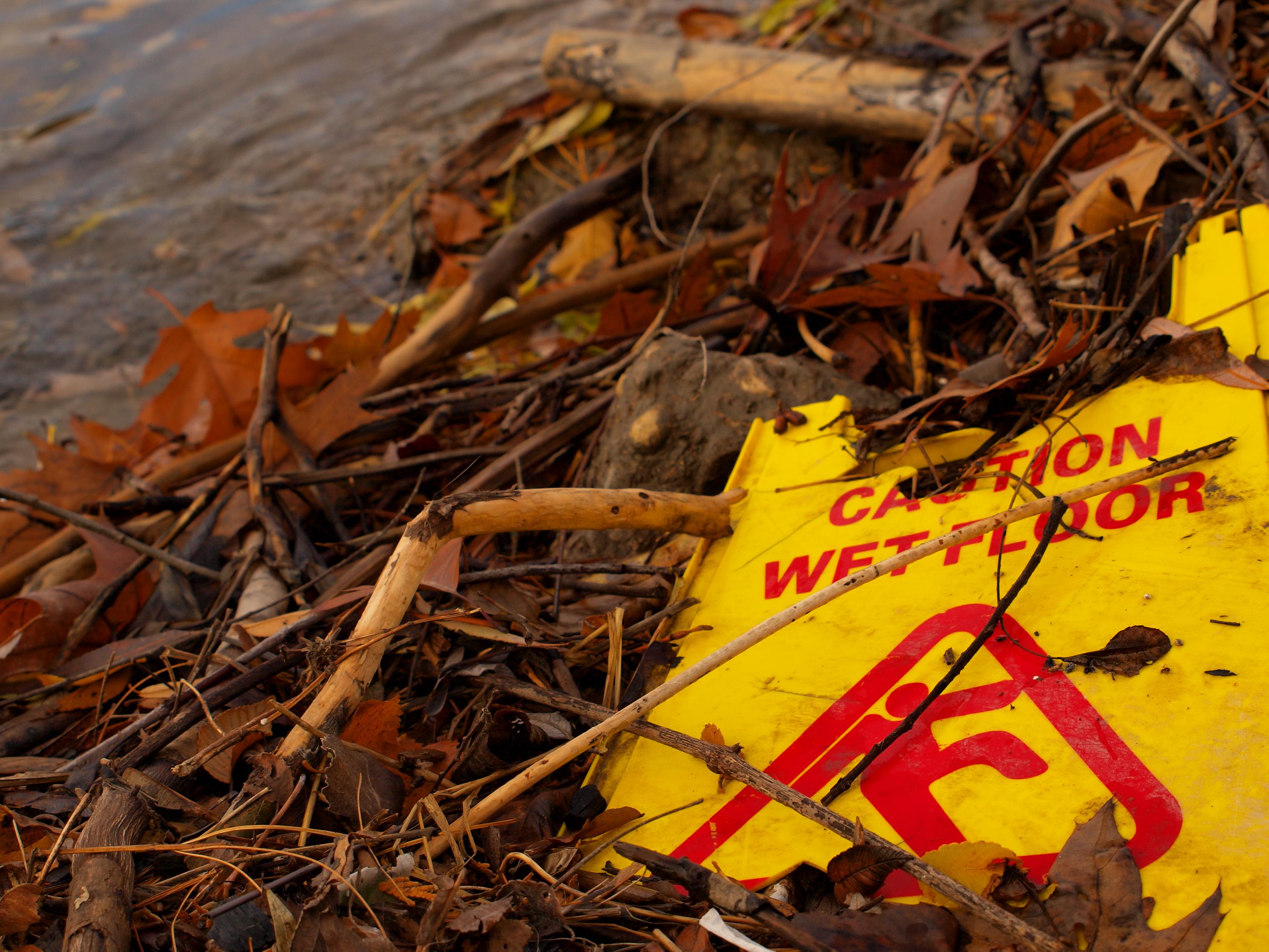What you need to know about waterproof hardwood flooring