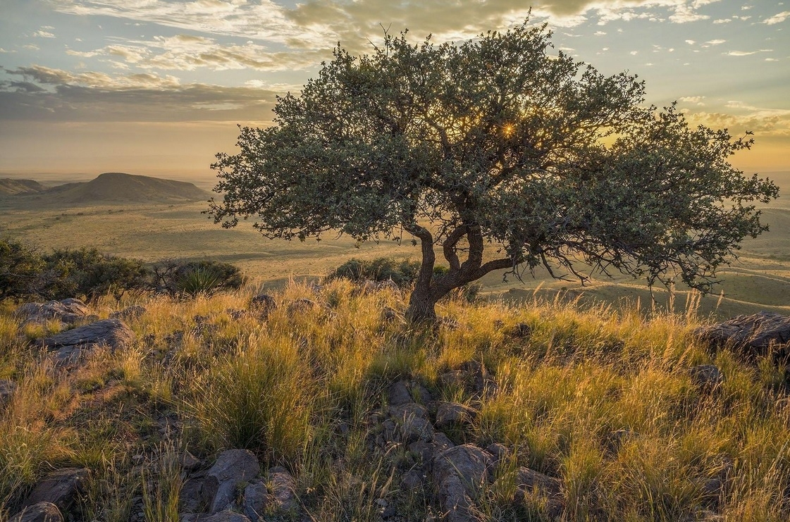 For sale: West Texas ranch with $30 million views, ‘Giant’ history