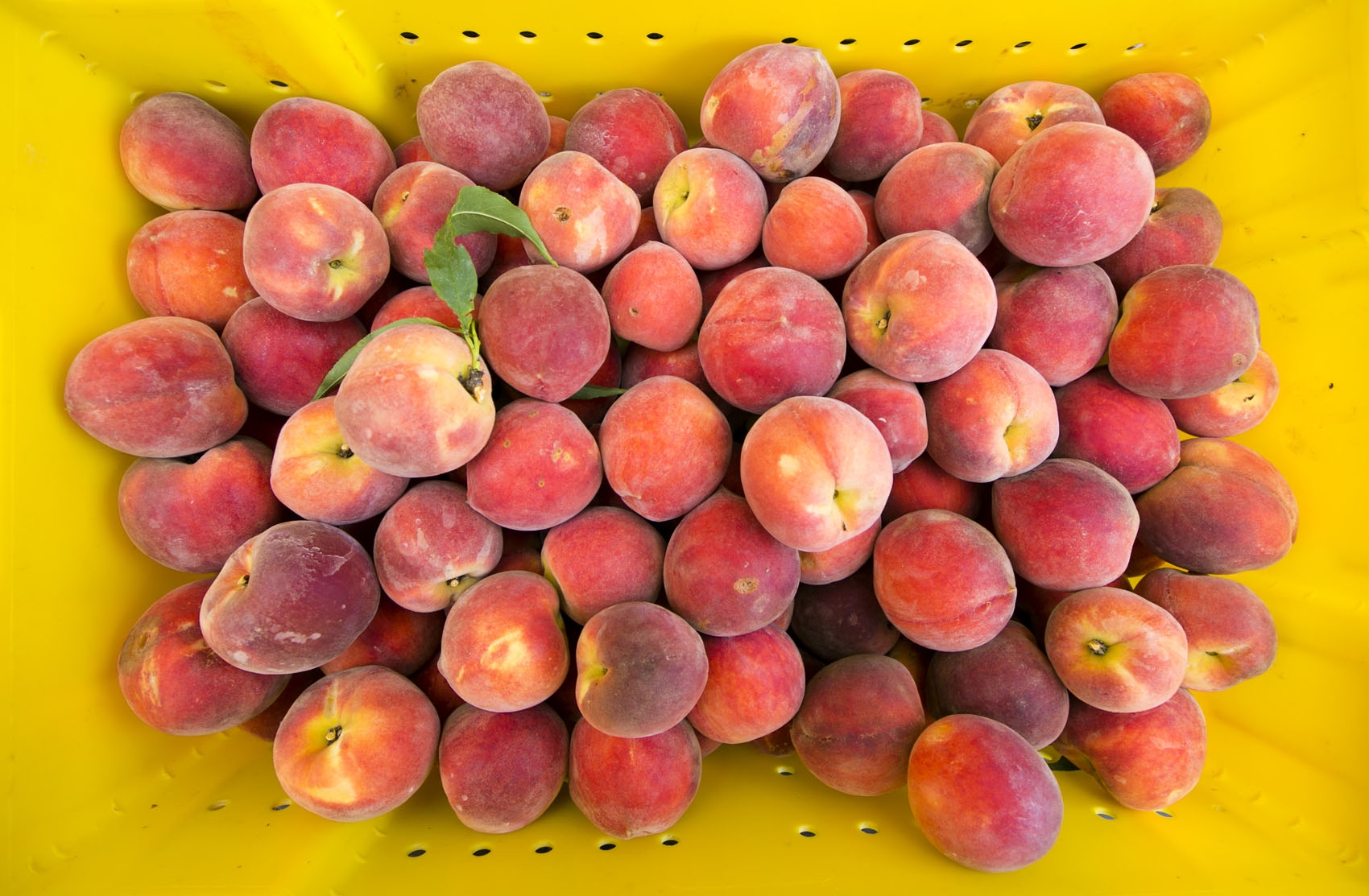 Recall issued for peaches, plums, nectarines sold at Aldi, Costco, Walmart