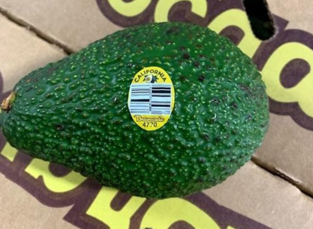 Avocados recalled in 6 states after testing positive for listeria