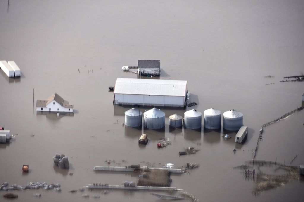 Floodwaters threaten millions in crop and livestock losses