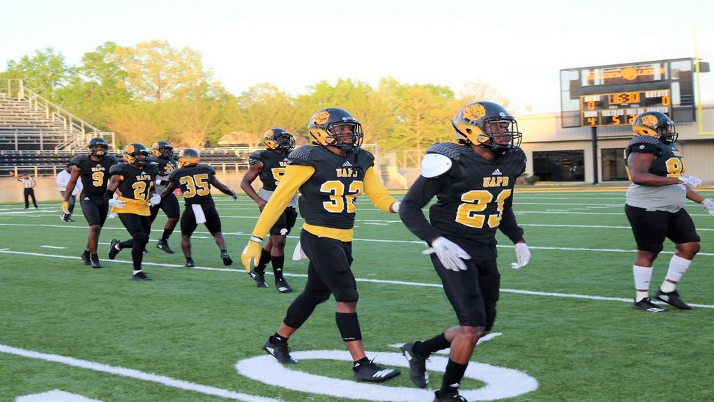 Golden Lions flash potential on spring game