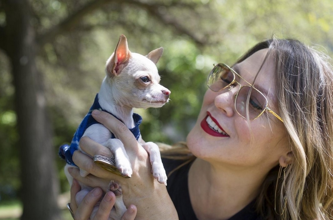 Meet Tony Hawk, the puppy who fell from the sky after being dropped by a hawk