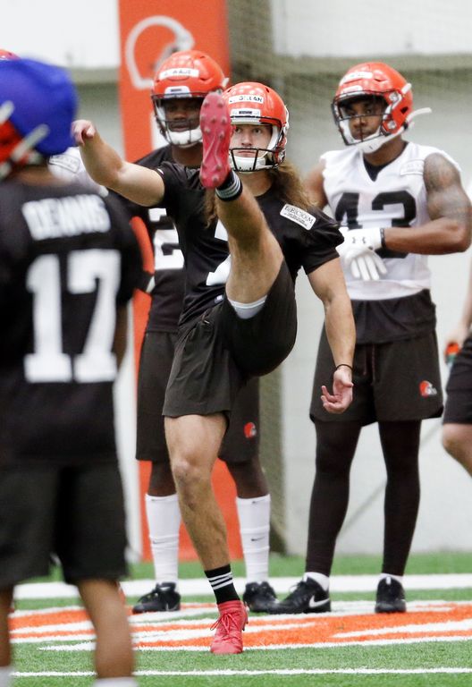 Former UAPB punter making NFL splash