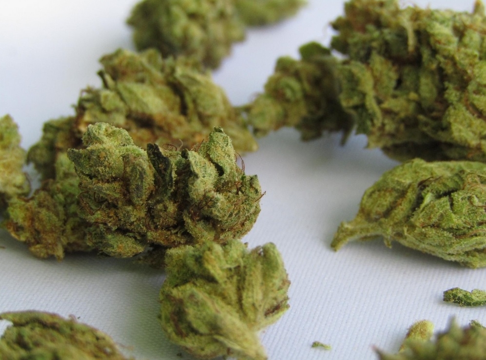 Florida high-schoolers find 22 pounds of pot while picking up trash