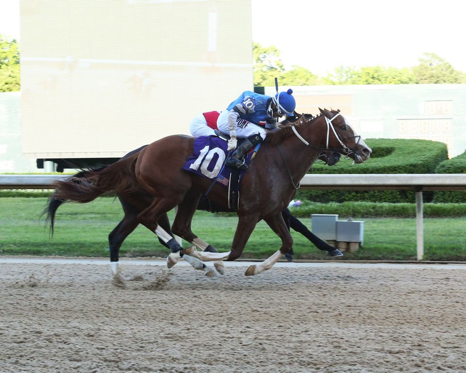 Four Oaklawn-raced horses on target for Preakness