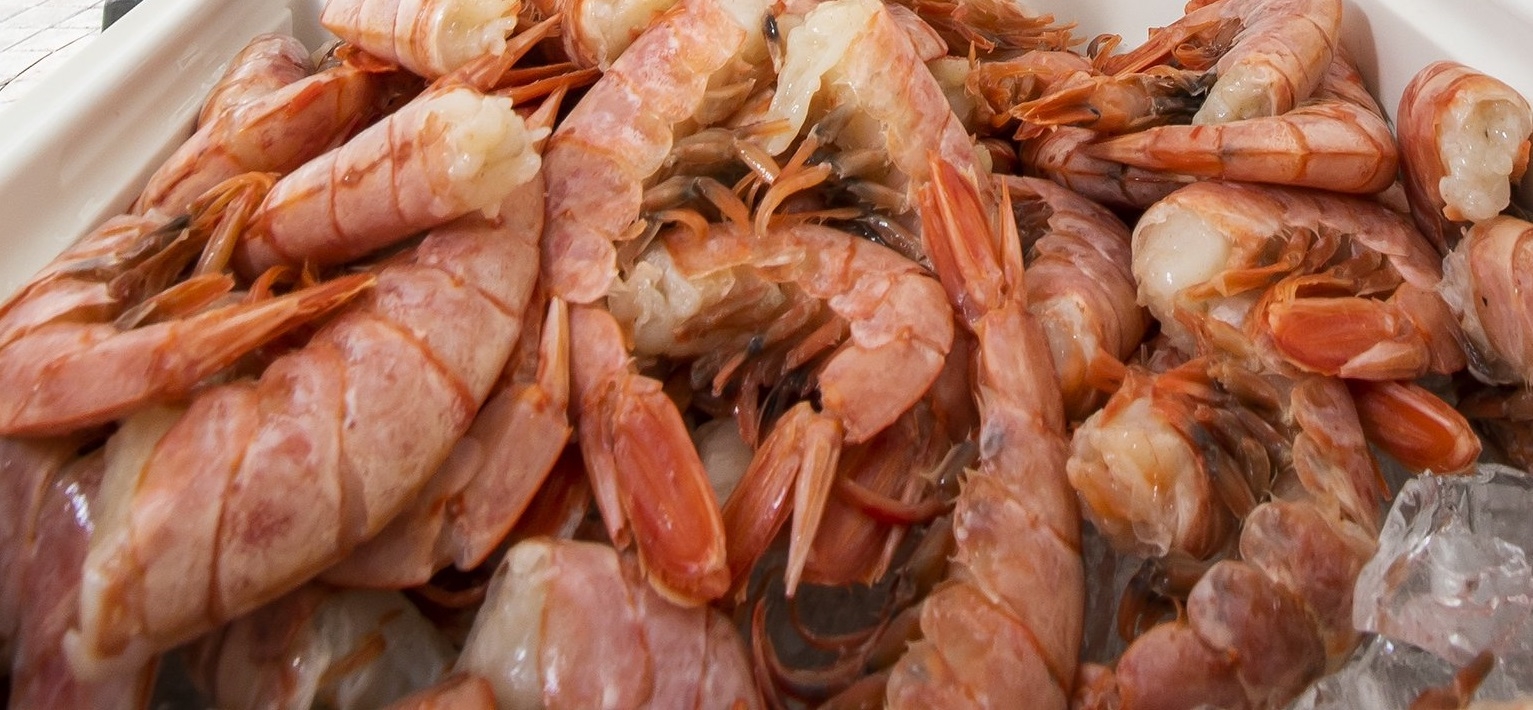 That shrimp you’re eating could have traces of cocaine, pesticides