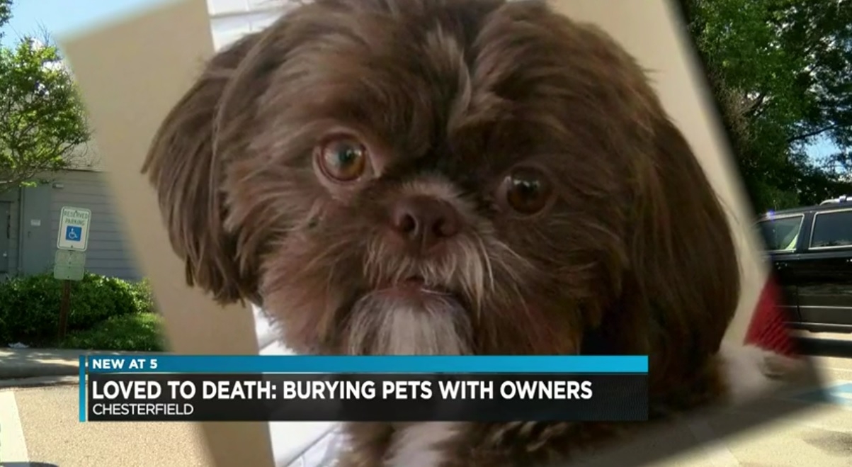 ‘Healthy and friendly’ dog euthanized so it can be buried with owner
