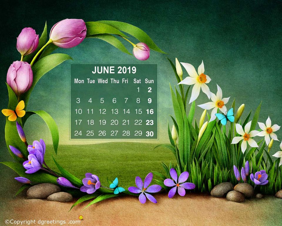AREA CALENDAR OF EVENTS