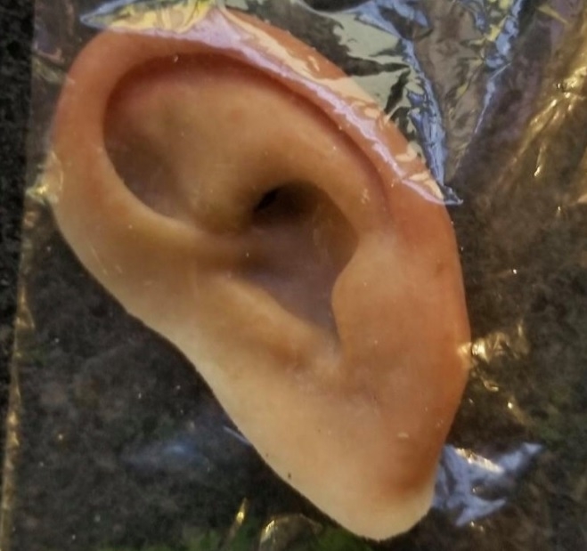 Prosthetic ear found at Florida beach