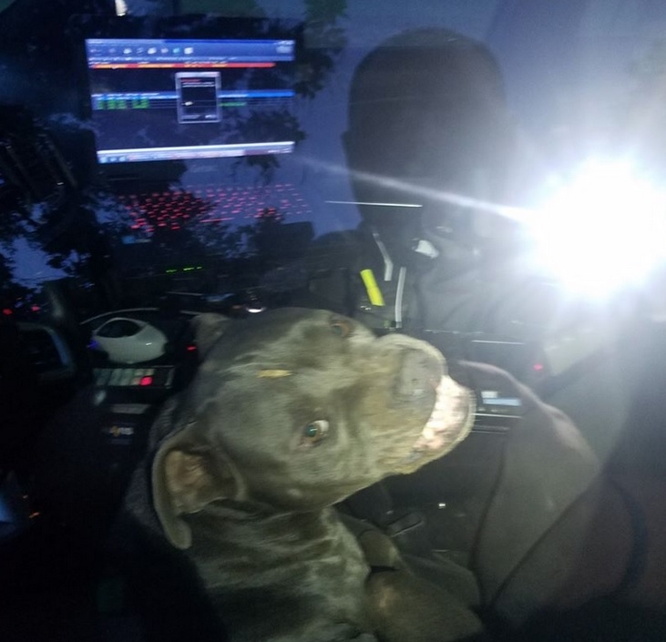 Dog ‘hijacks’ Texas police cruiser, eats cop’s beef jerky