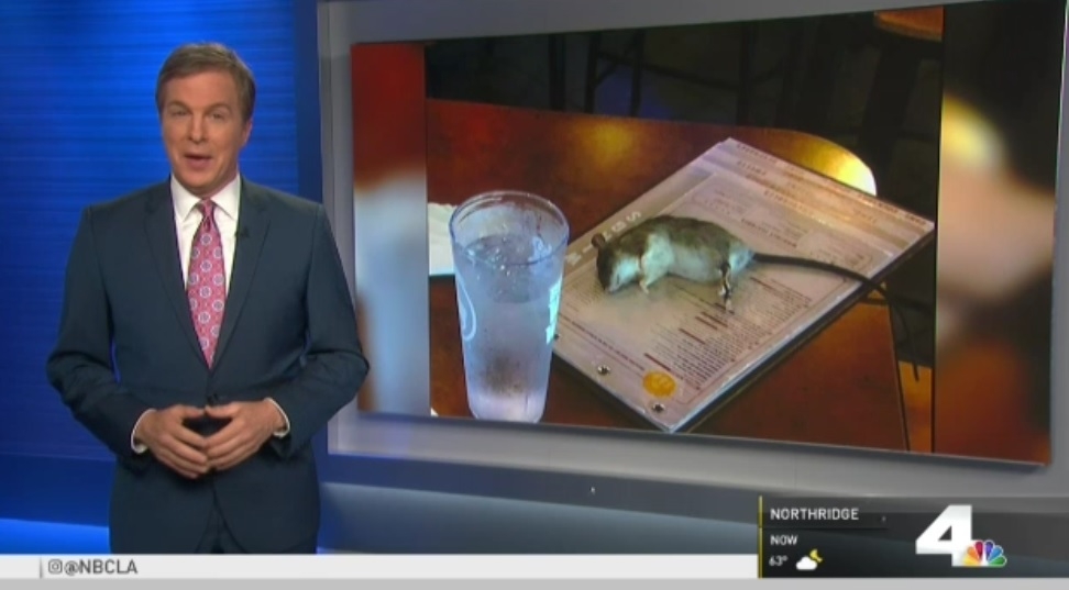 Live rat falls from ceiling onto table at California Buffalo Wild Wings
