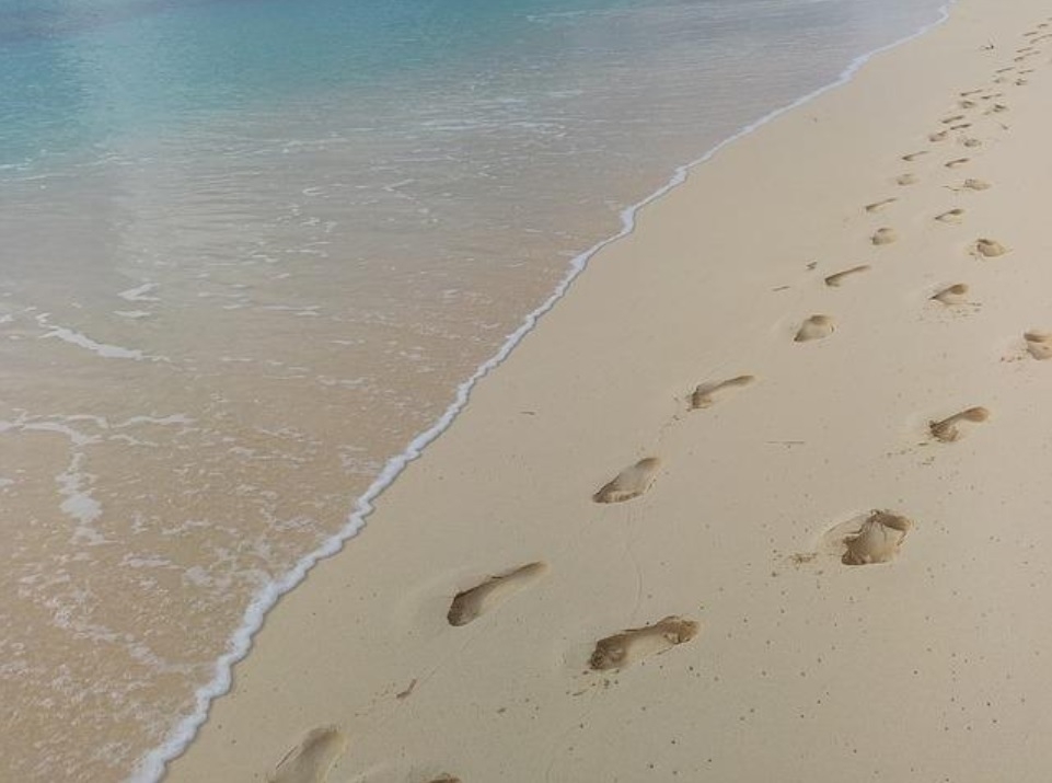 Flesh-eating bacteria kills Florida woman two weeks after a walk on the beach