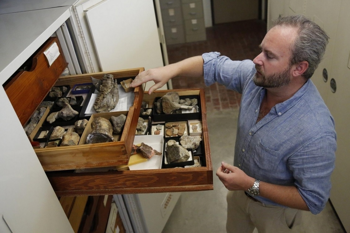 New dinosaur species discovered from fossils in Texas park, researchers say