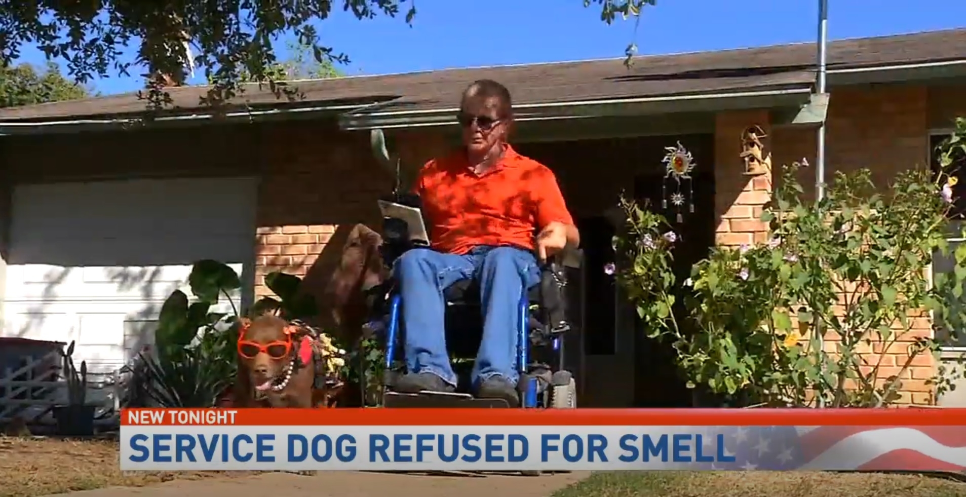 Disabled Texas man says McDonald’s kicked him out, citing stinky service dog