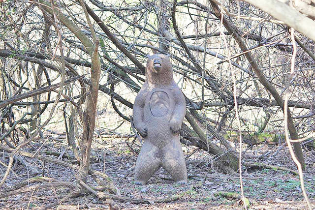 Nature center archery range sees upgrades