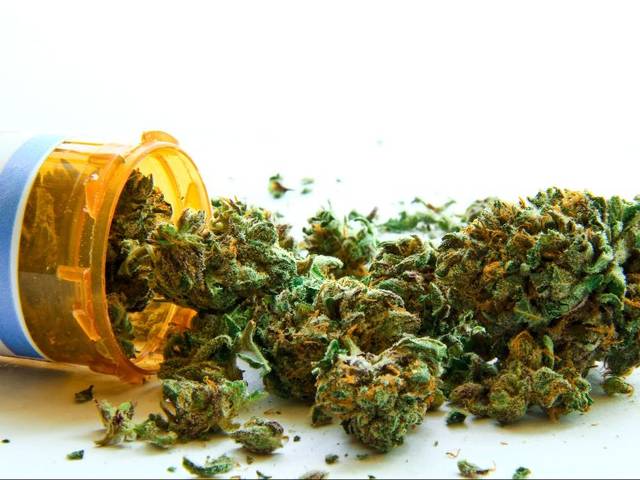 WH Rx pot grower did not mislead about residency, ABC rules