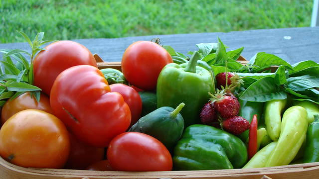 Pilot program seeks area farmers’ participation