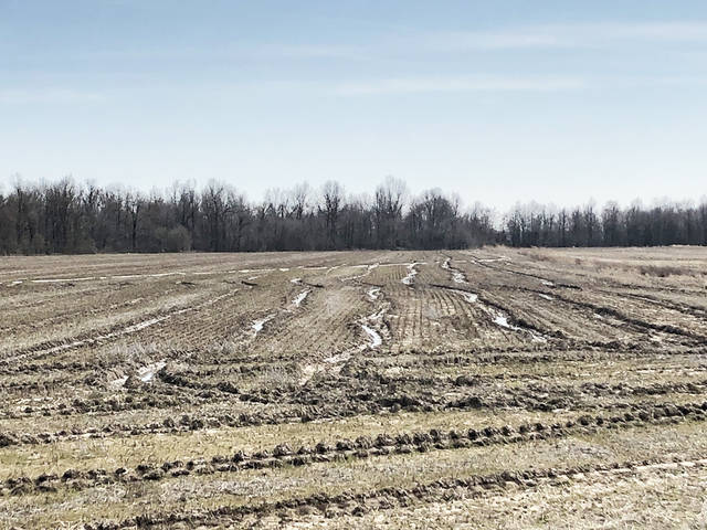 Forecast rains likely to delay field work, planting, experts say