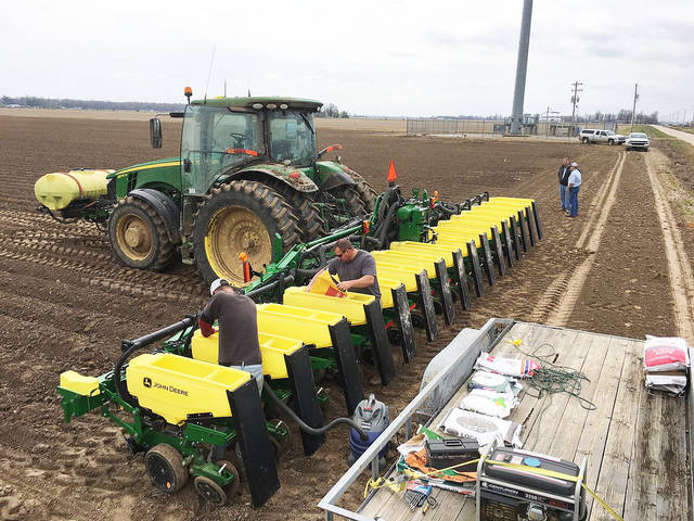 Prospective plantings report: Arkansas corn, cotton acres to rise