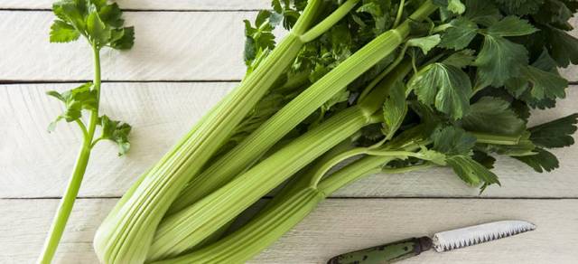 UAPB Extension associate eyes benefits of celery