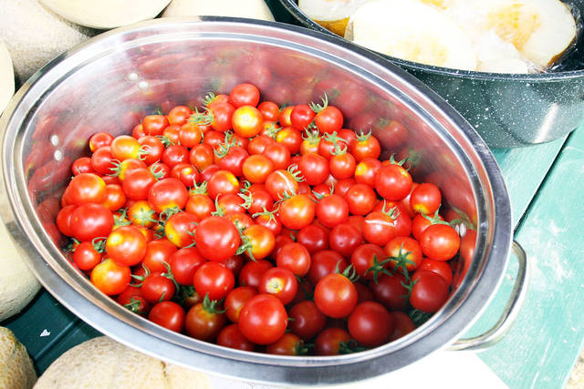 UAM’s Tomatoes at the Trotter to focus on Arkansas-grown crop