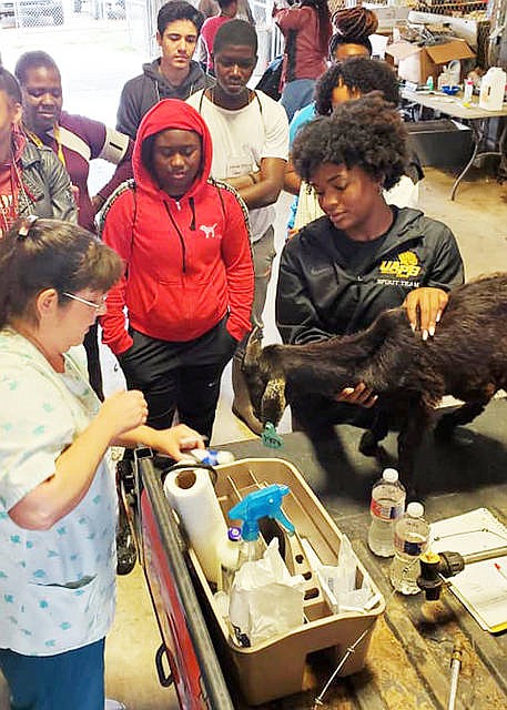 UAPB teaches high school students about veterinary, animal science careers UAPB teaches high school students about veterinary, animal science careers