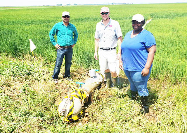 UAPB agriculture students gain experience through apprenticeships