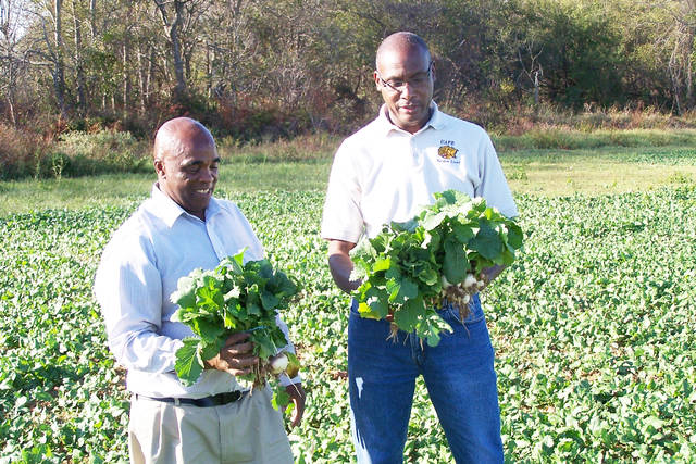 Planting leafy greens in early fall ensures soil health, UAPB expert says