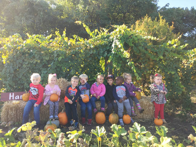 Children help harvest pumpkins at Jefferson County Extension garden