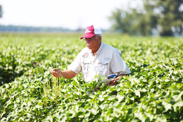 Dumas to host 2020 Tri-State Soybean Forum Jan. 3