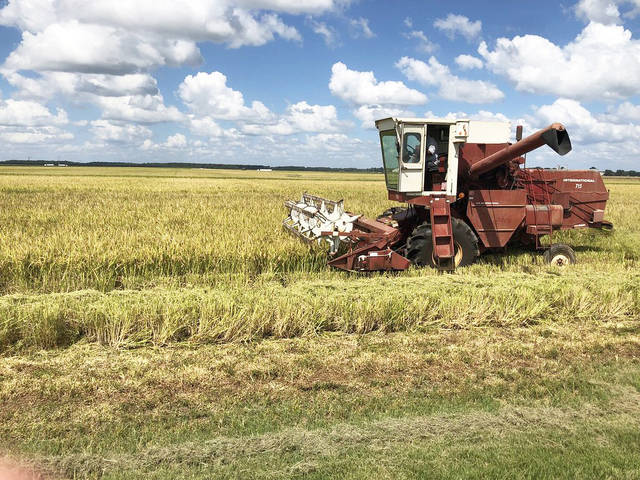 YEAREND: As difficult harvest closes, economists look on bright side
