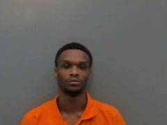traffic stop results in drug and gun arrest