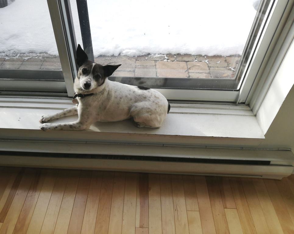 Advantages of electric baseboard heating