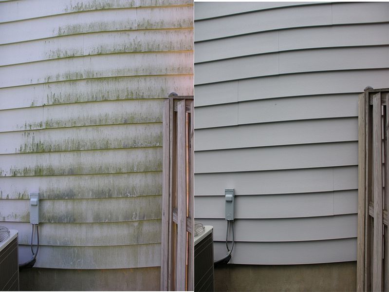 Clean your siding with this simple guide