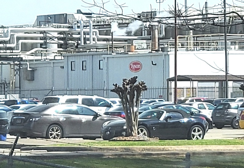 Food Bank, Tyson respond after chicken safety concerns arise