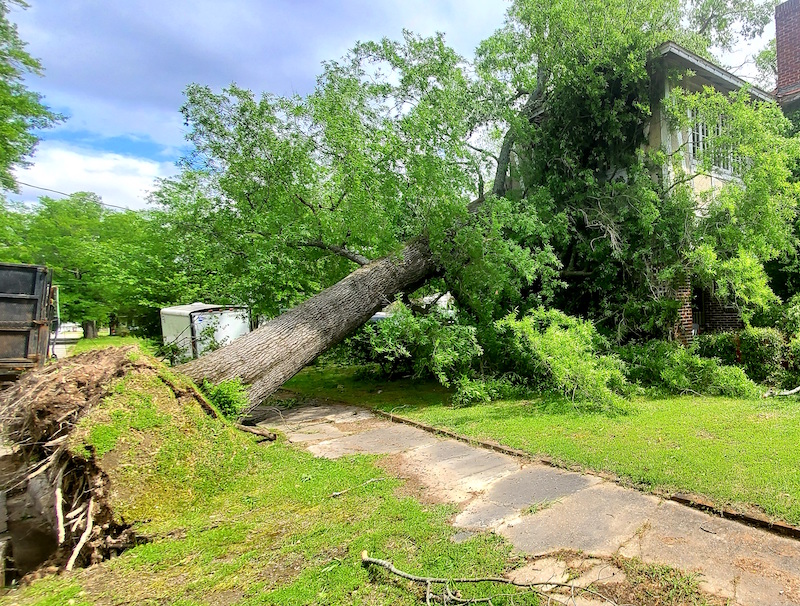 SEARK region copes as storm recovery continues