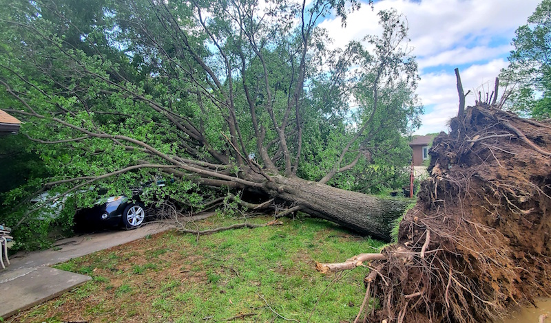 Entergy works to restore power in Southeast Arkansas