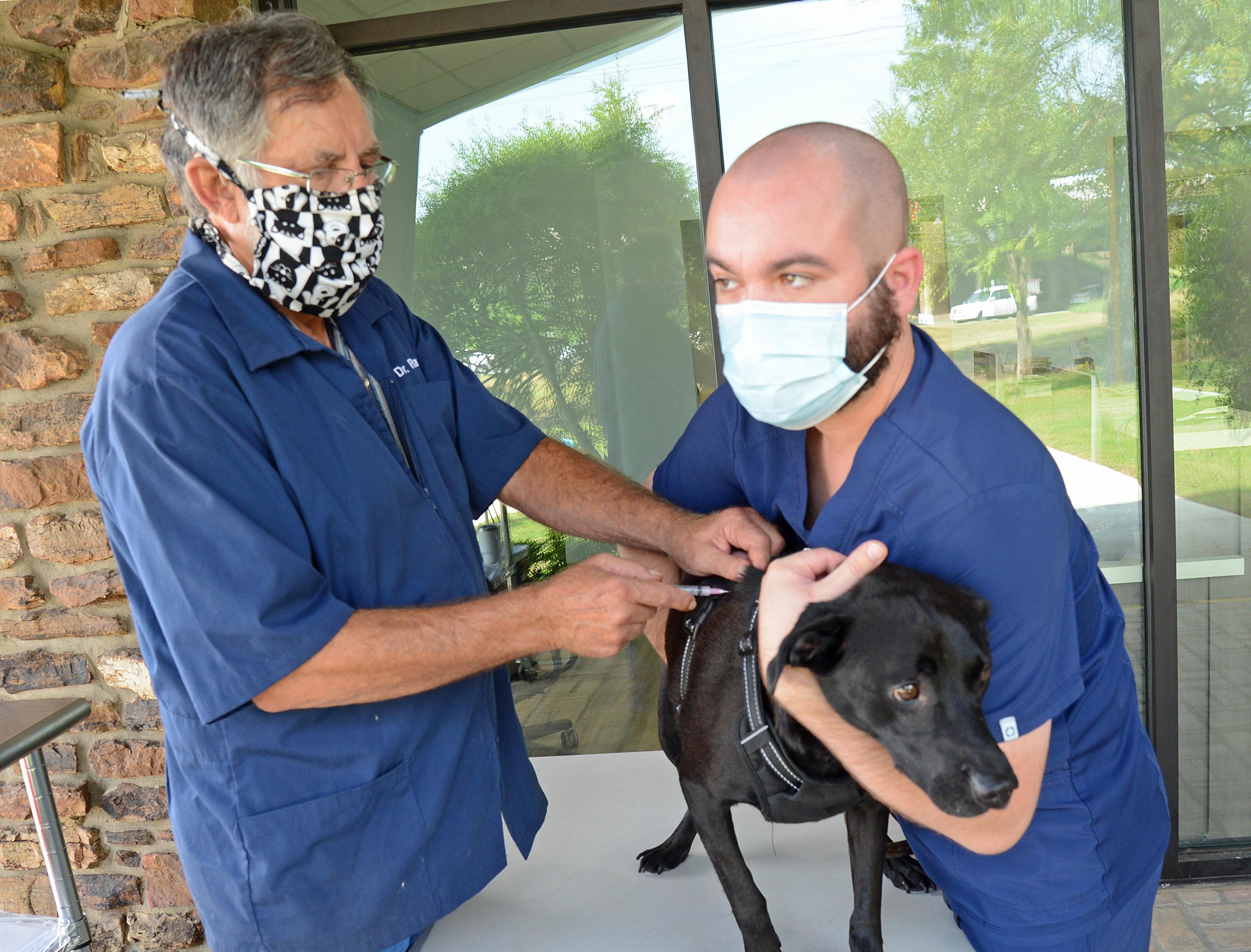 Kitties & Kanines starts Saturday walk-in clinic