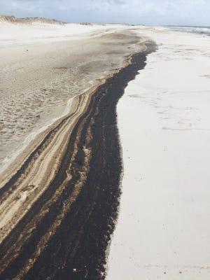 Oil washes up on Florida beach in wake of Hurricane Sally