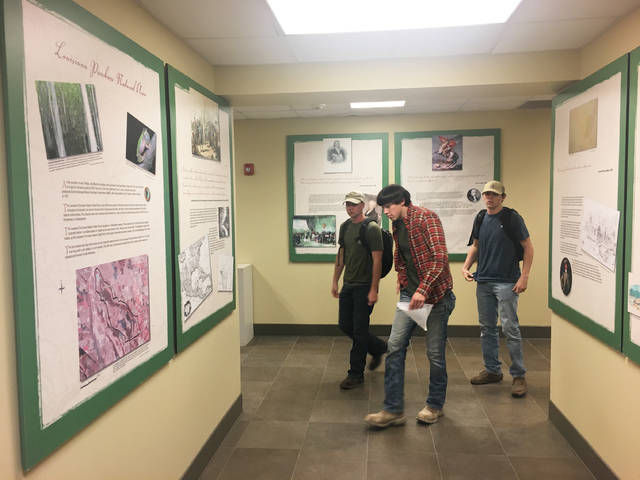 Land survey panels on display again at UAM