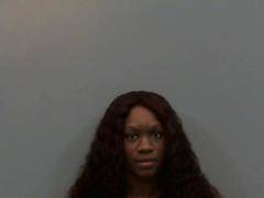Traffic stop leads to drug arrest