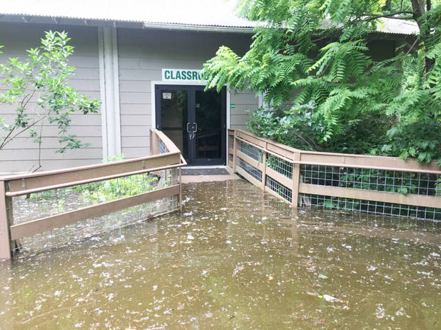 Nature Center recovering from 2019 flood; expects to open spring break