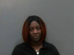 Search for stolen car results in drug arrest