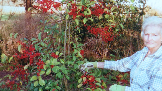 UAM professor seeks recognition for tomato named for SEA woman