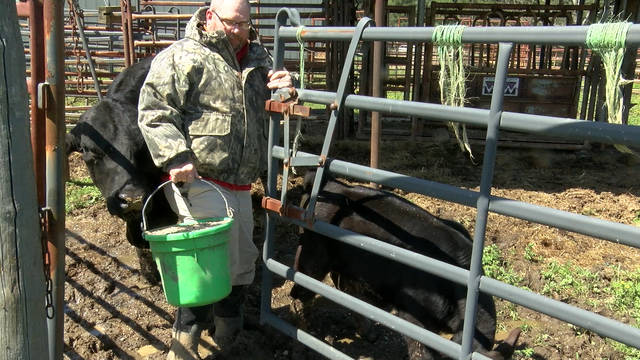 Wet spring brings pasture reconstruction