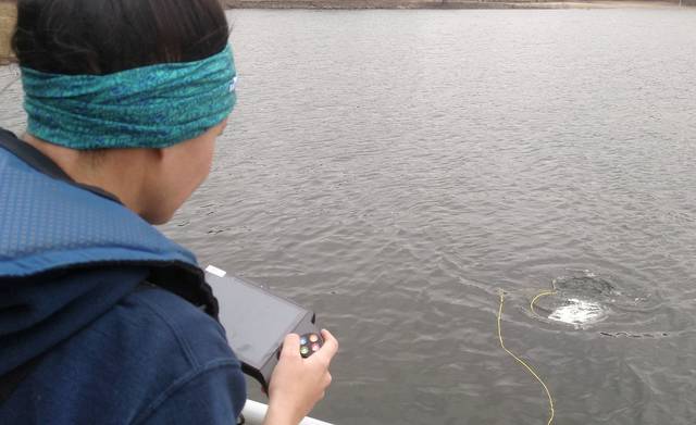 UAPB specialists work to restore aquatic vegetation at DeGray Lake
