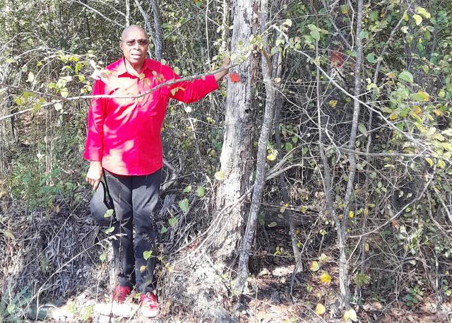 Know property lines before harvesting timber, installing buildings, UAPB expert says