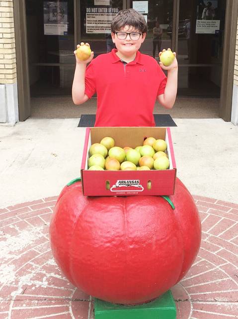 Season’s first box of tomatoes heralds harvest near at Warren