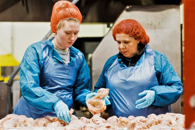 Fitbits and AI — technology may help improve chicken meat quality